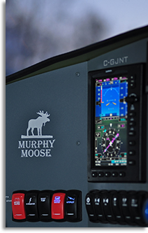 Murphy Moose